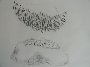 482_zwevendetakken4_houtskool_1998